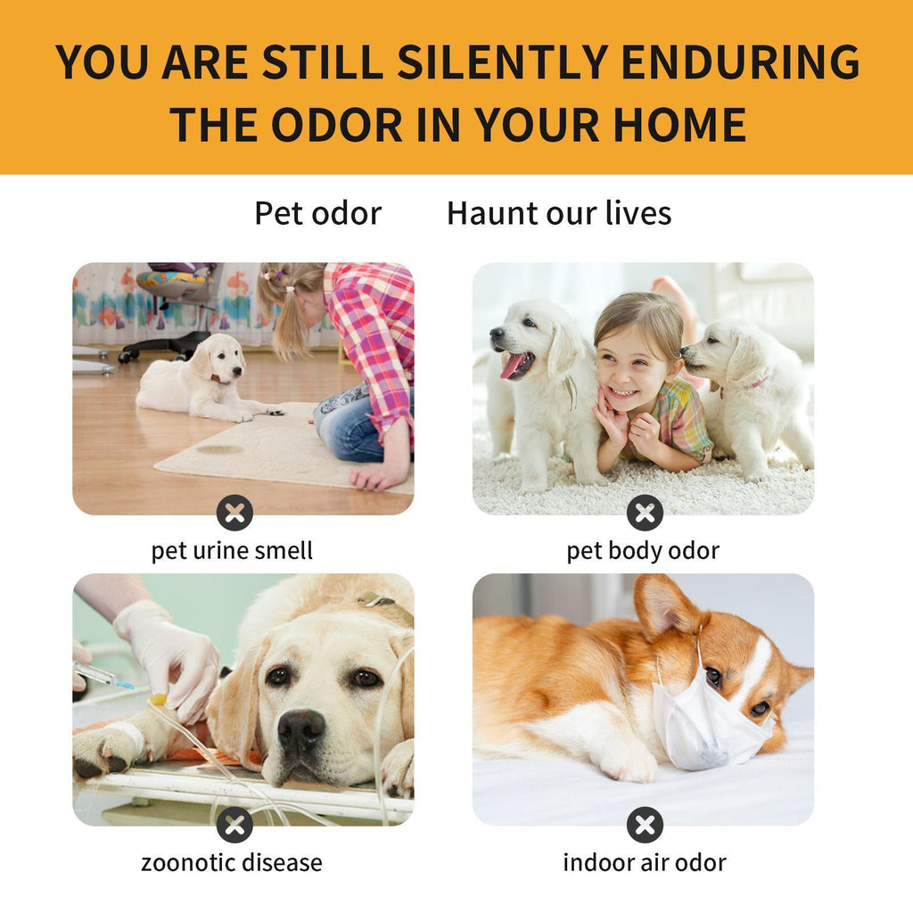 3Pcs,Pet Fabric Deodorizer Spray – Removes Pet Odor & Freshens Home | Safe for Dogs & Cats”